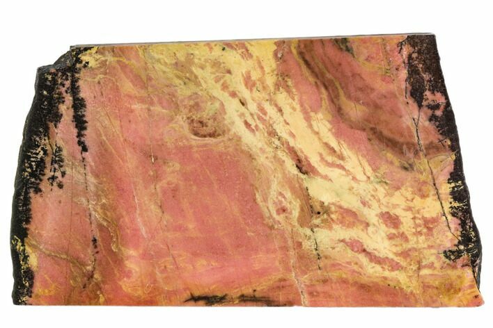 Polished Rhodonite Slab - Northern BC #112717